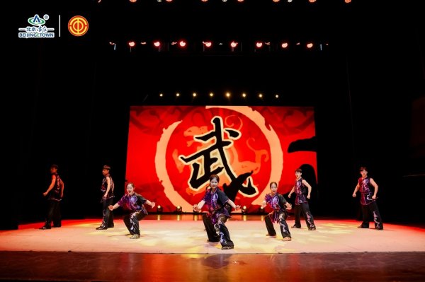 泰兴隆配资 “博大杯”武术交流展示活动举行